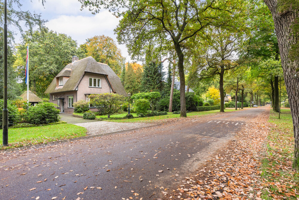Foto 36 1000w